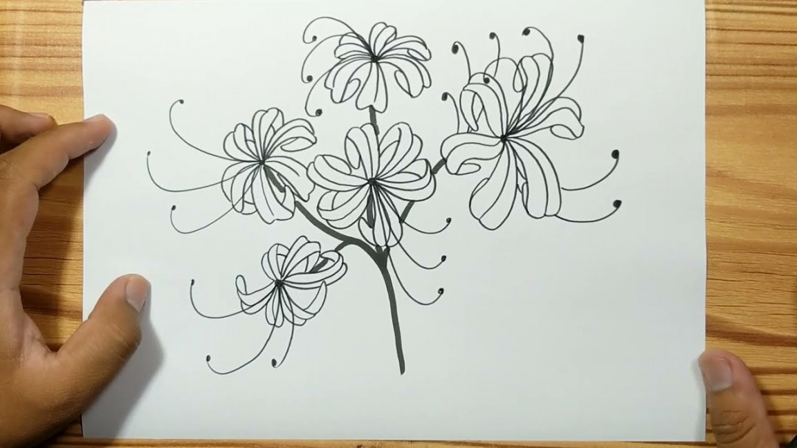 How to draw SPIDER LILY