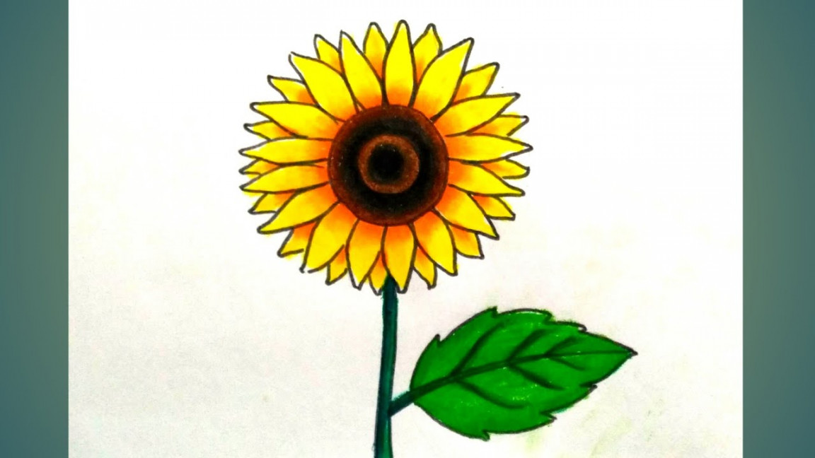 How to draw sunflower step by step/sunflower drawing with easy colour
