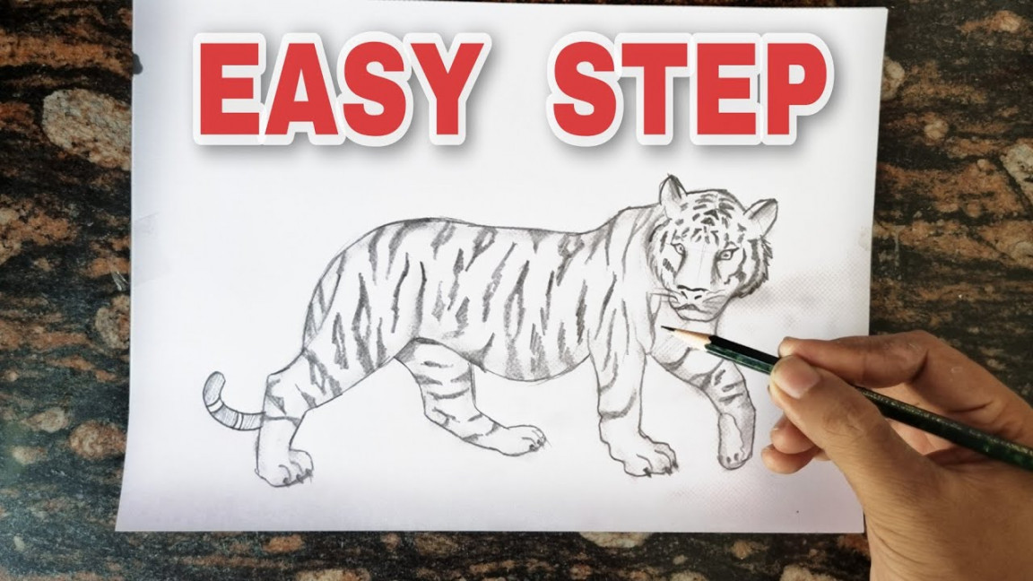 How to draw Tiger Step by step  Tiger Pencil Drawing