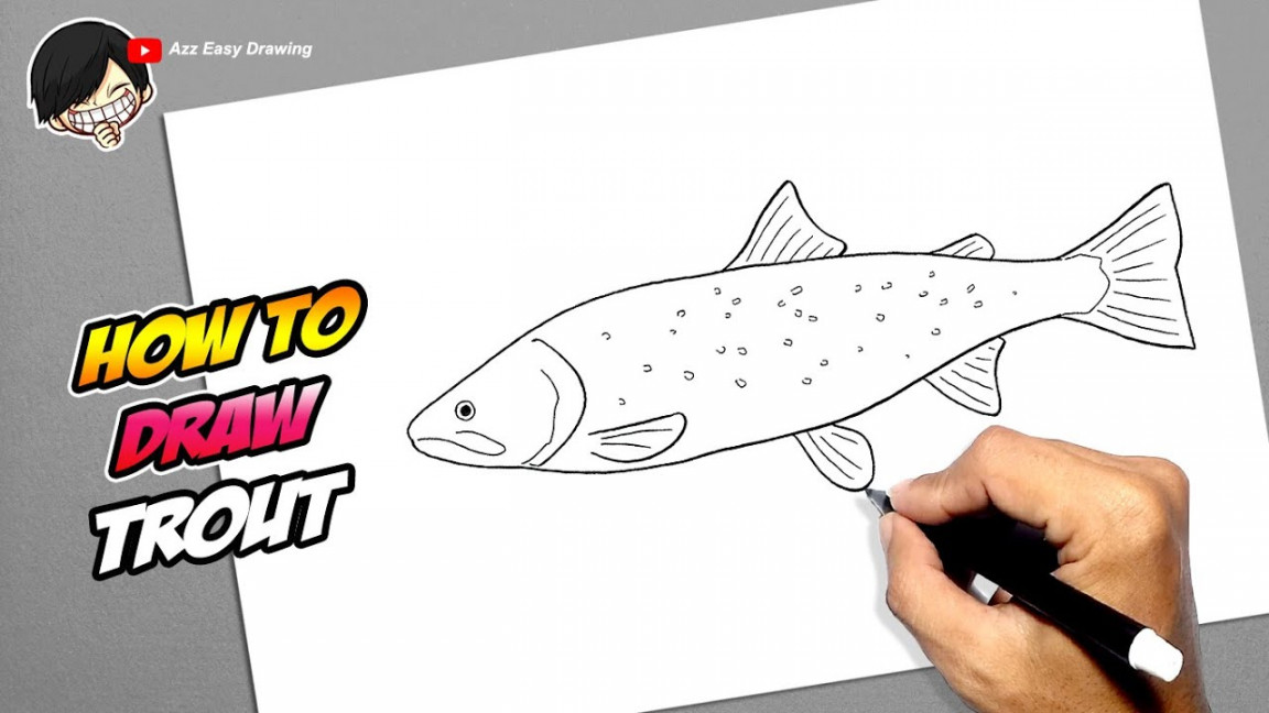 How to draw Trout Fish