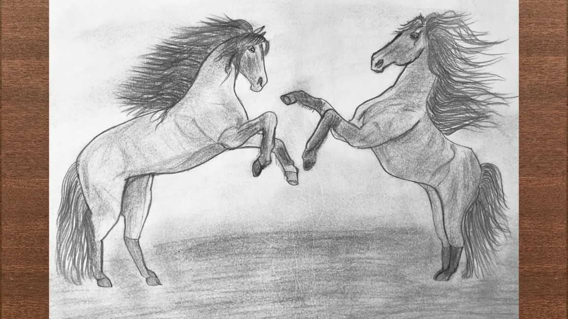 How to Draw Two Horses using Pencil
