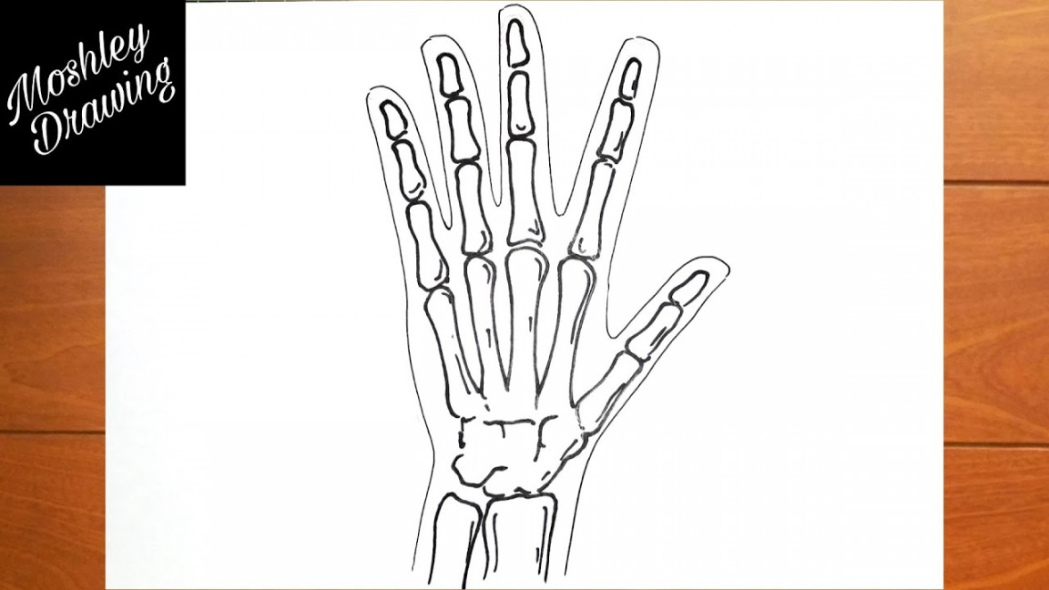 How to Draw X-Ray of Human Hand