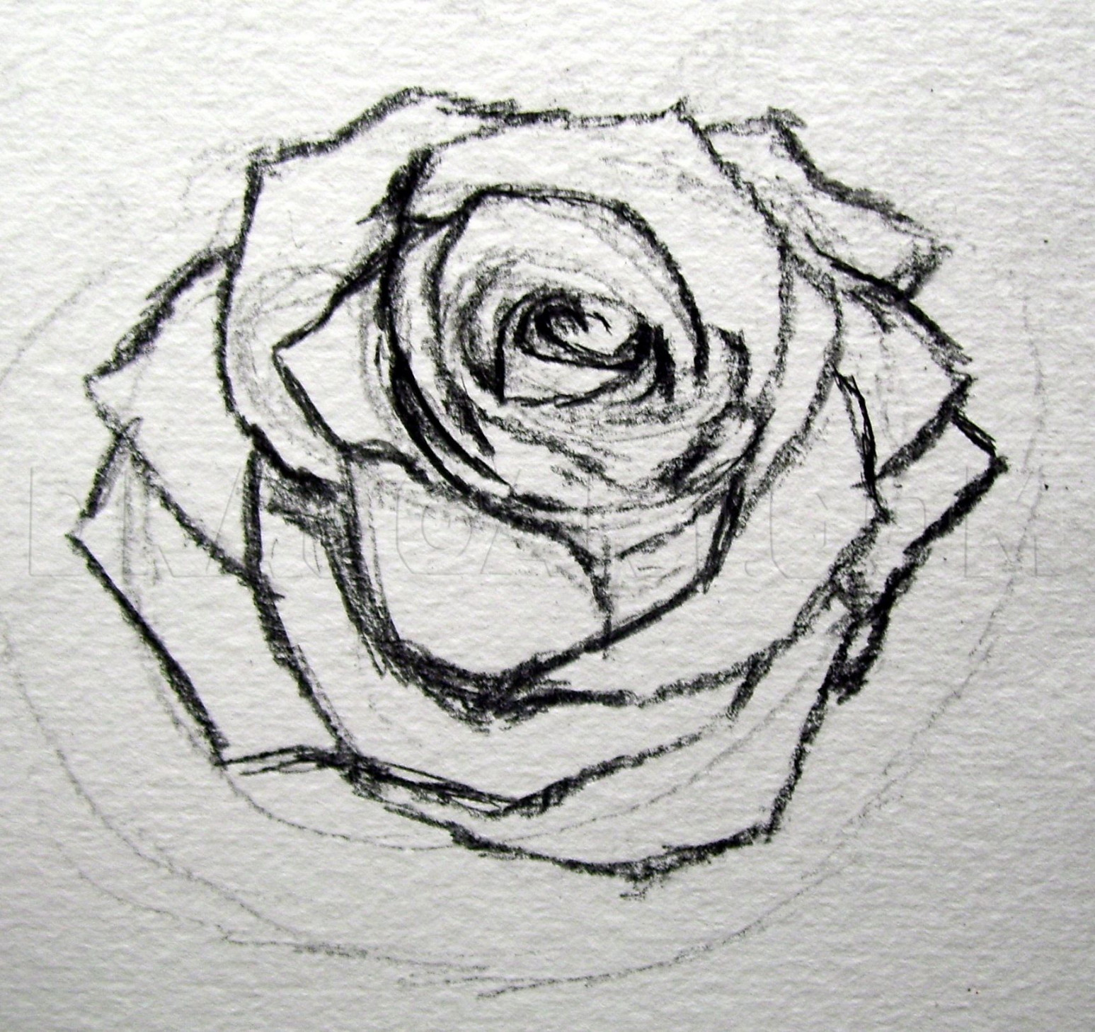 How To Sketch A Rose, Step by Step, Drawing Guide, by finalprodigy