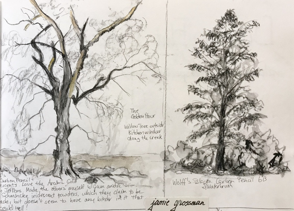 Hudson Valley Sketches - : Megasketch Monday -- Drawing Trees