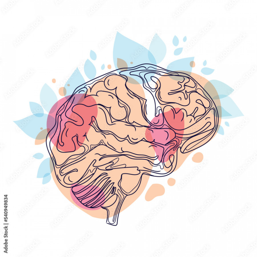 Human brain Minimal art line drawing vector illustration