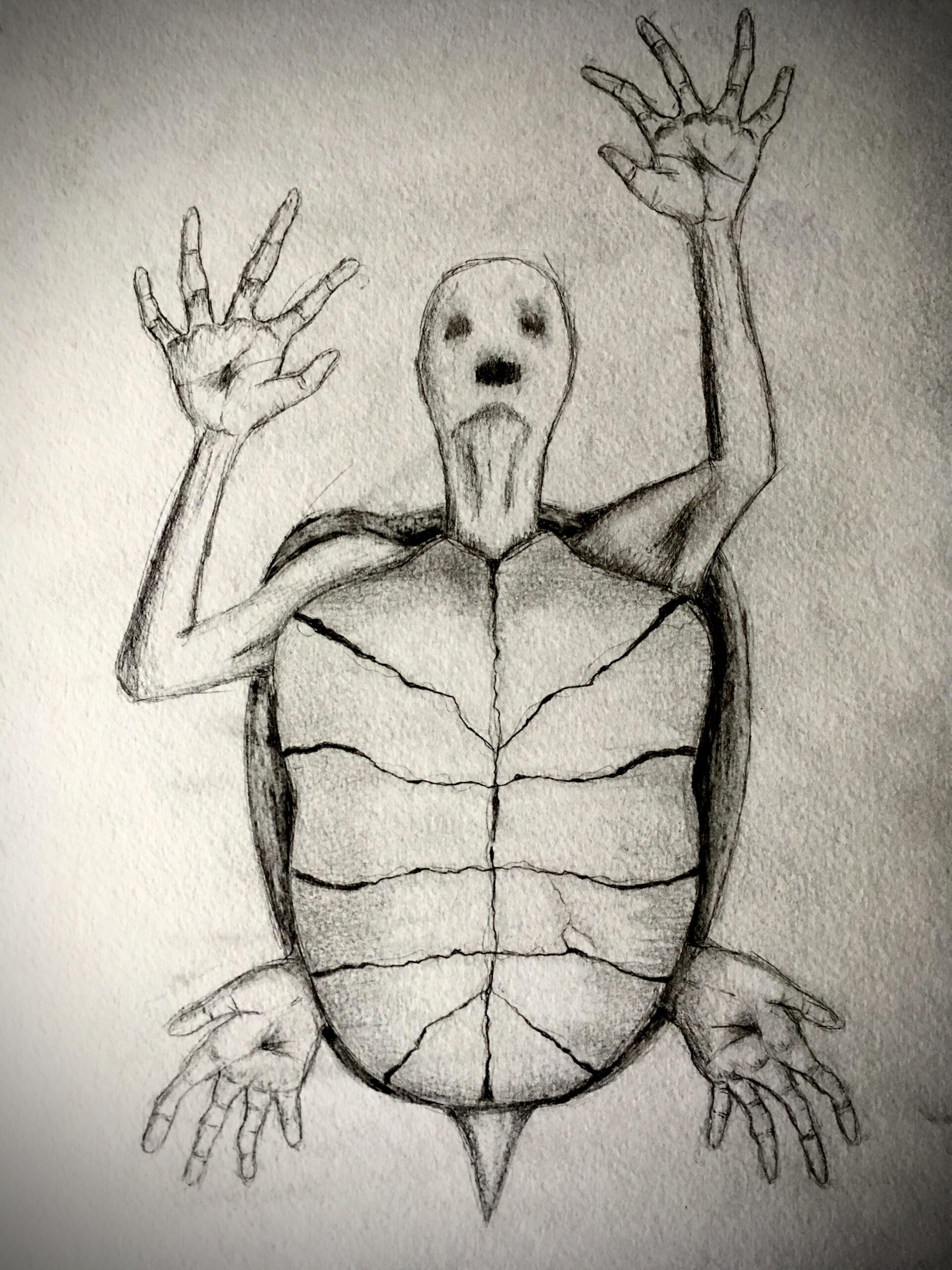 Human-Turtle Hybrid : r/drawing