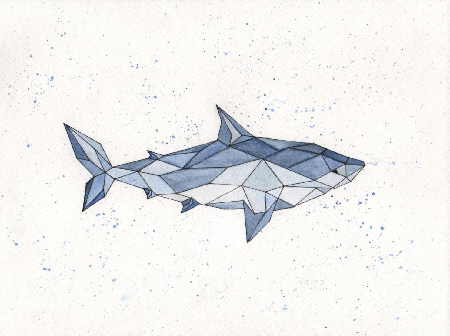 ✧i t z a d d y h e r e☾  Shark art, Drawings, Geometric drawing