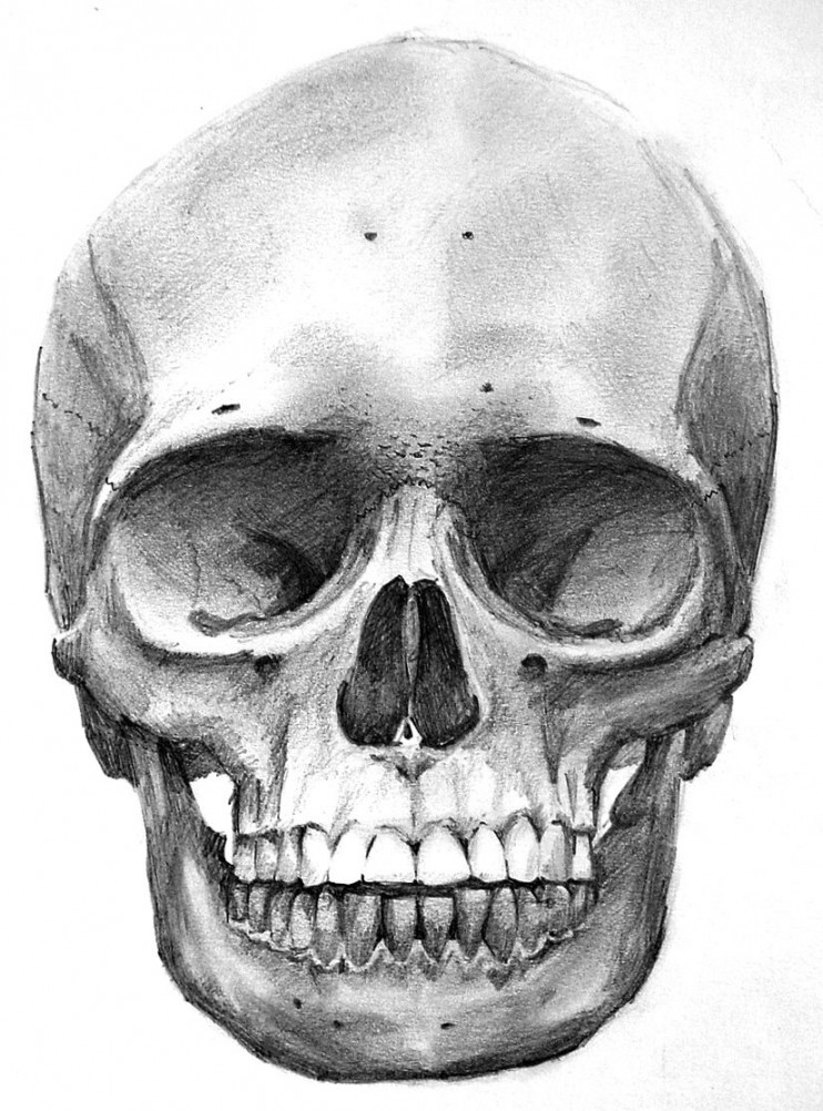 I wana learn to do drae that well  Skull drawing, Skull sketch