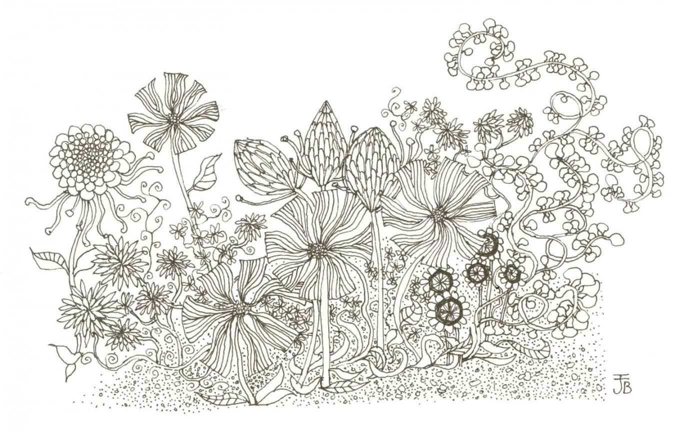 iColor "Flowers"  Flower garden drawing, Flower sketches, Flower