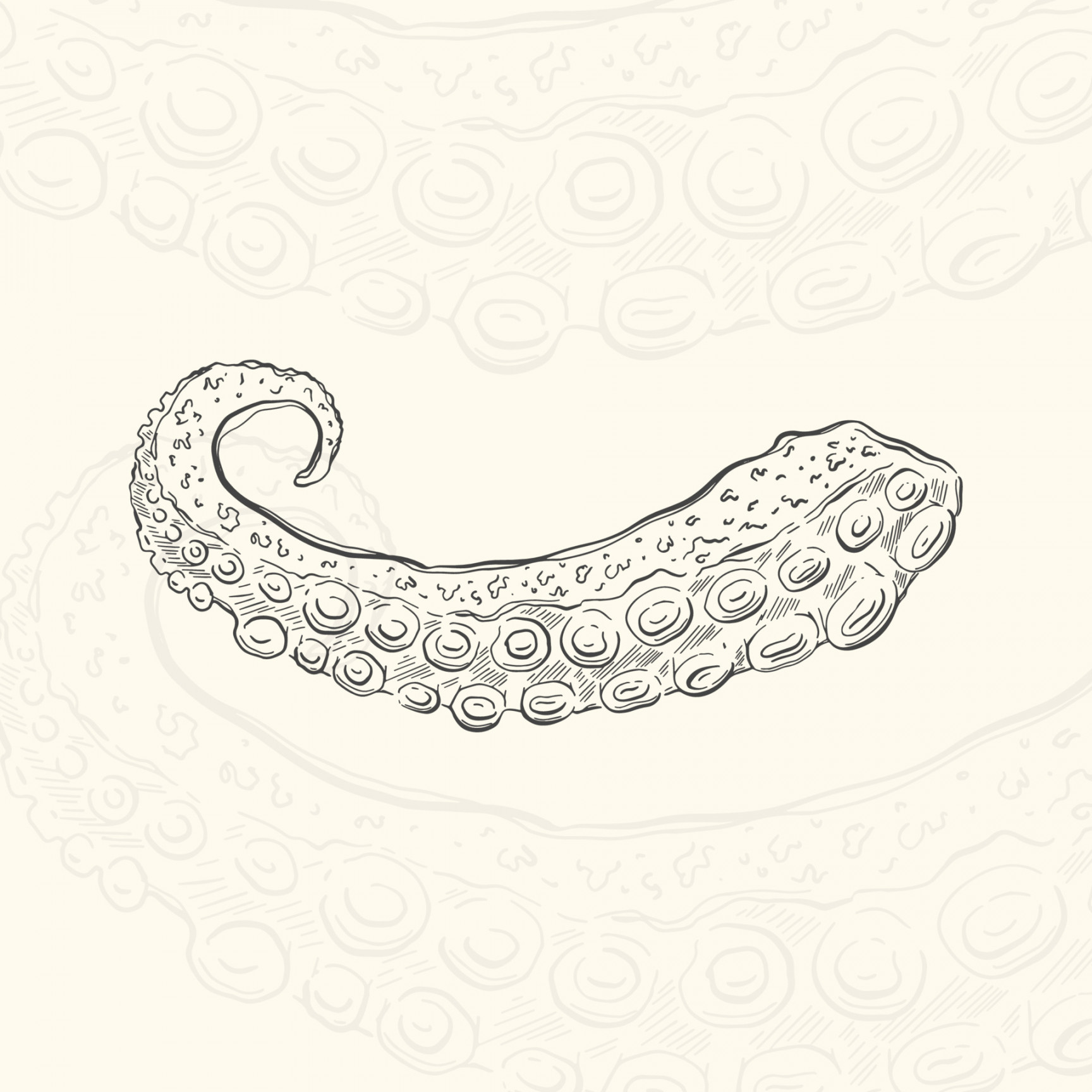 Illustration octopus tentacles sketch food