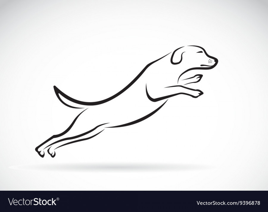 Image of an dog jumping Royalty Free Vector Image