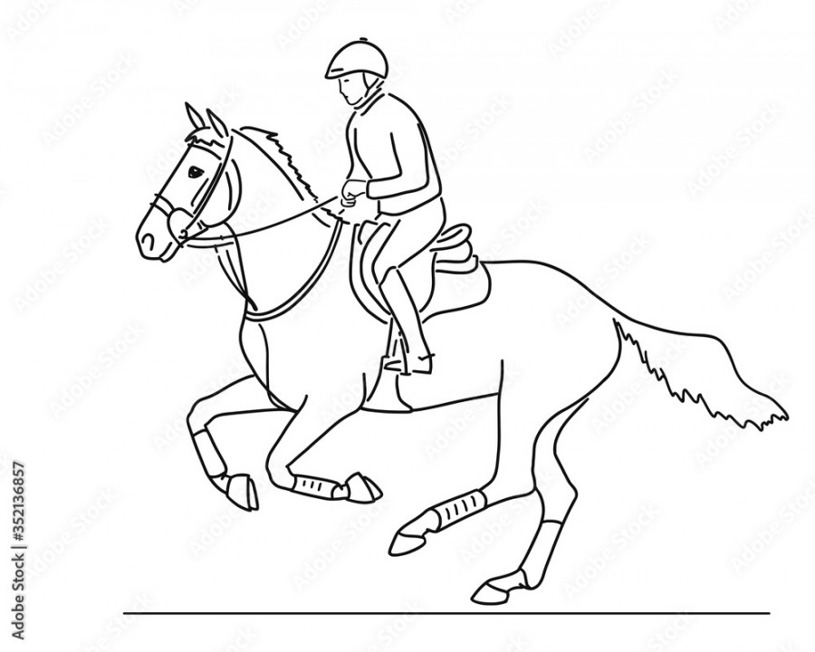 Jockey horse racing, drawn line art Stock-Vektorgrafik  Adobe Stock