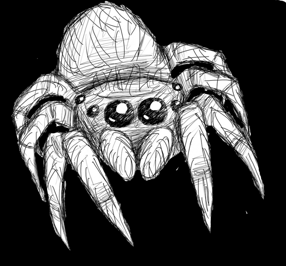 Jumping Spider by CalicoKitties on DeviantArt
