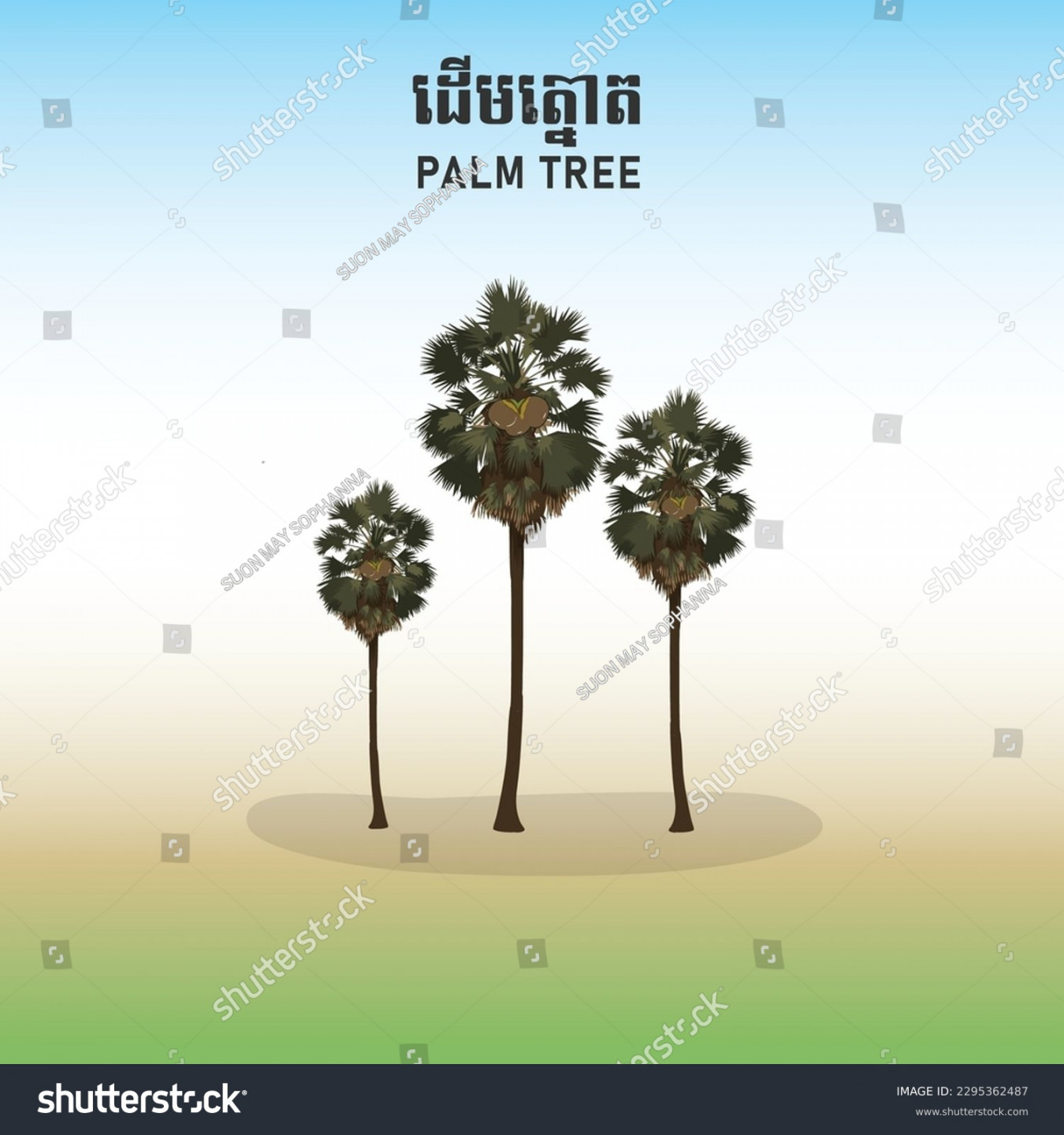 Kambodscha-Palme in Khmer Tnaot: Stock-Vektorgrafik (Lizenzfrei