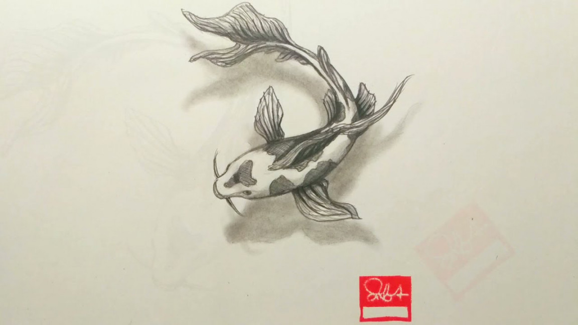Koi Fish drawing  Fish Drawing  step by step drawing  D drawing