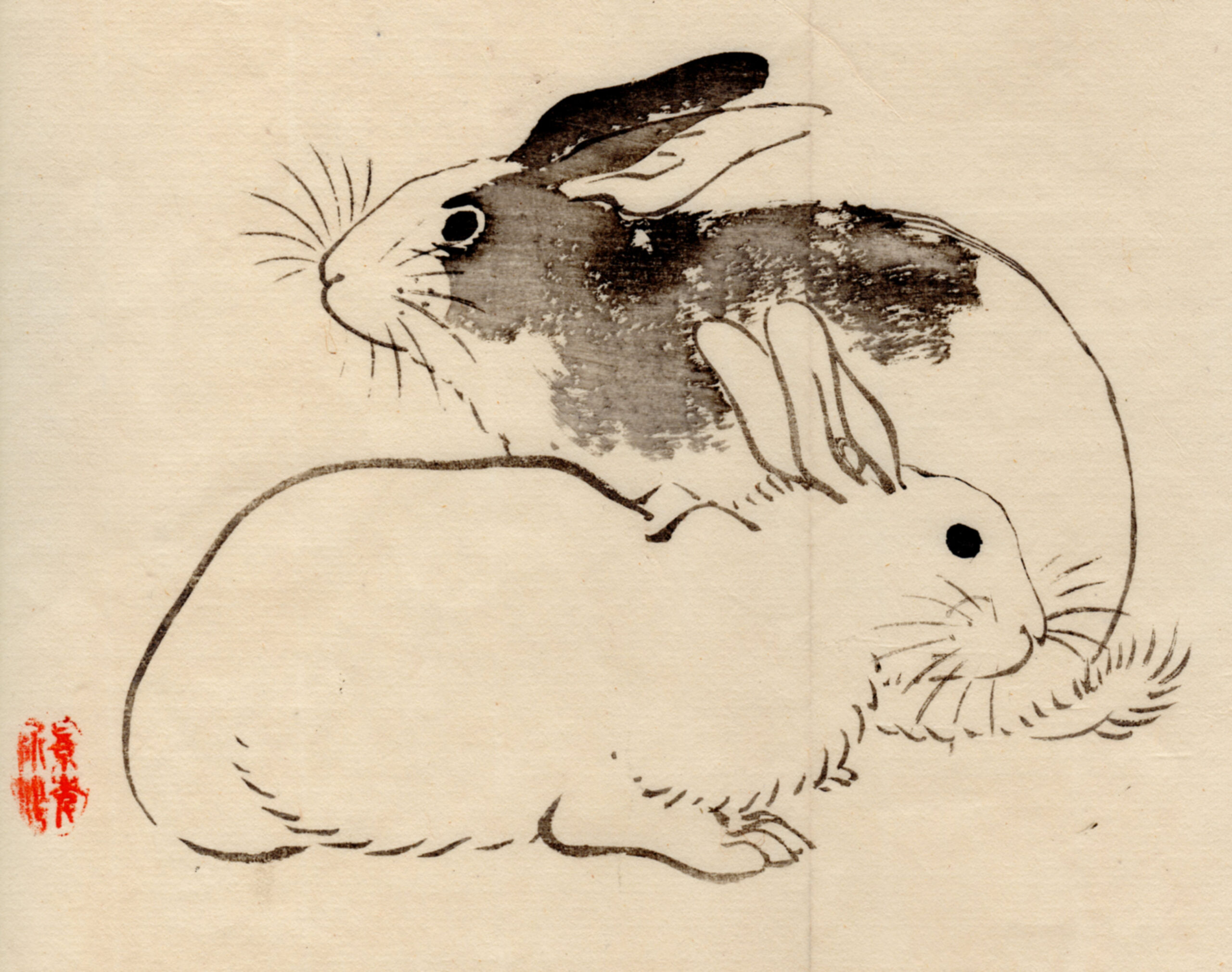 kyoto rabbits  Rabbit art, Illustration art, Bunny art