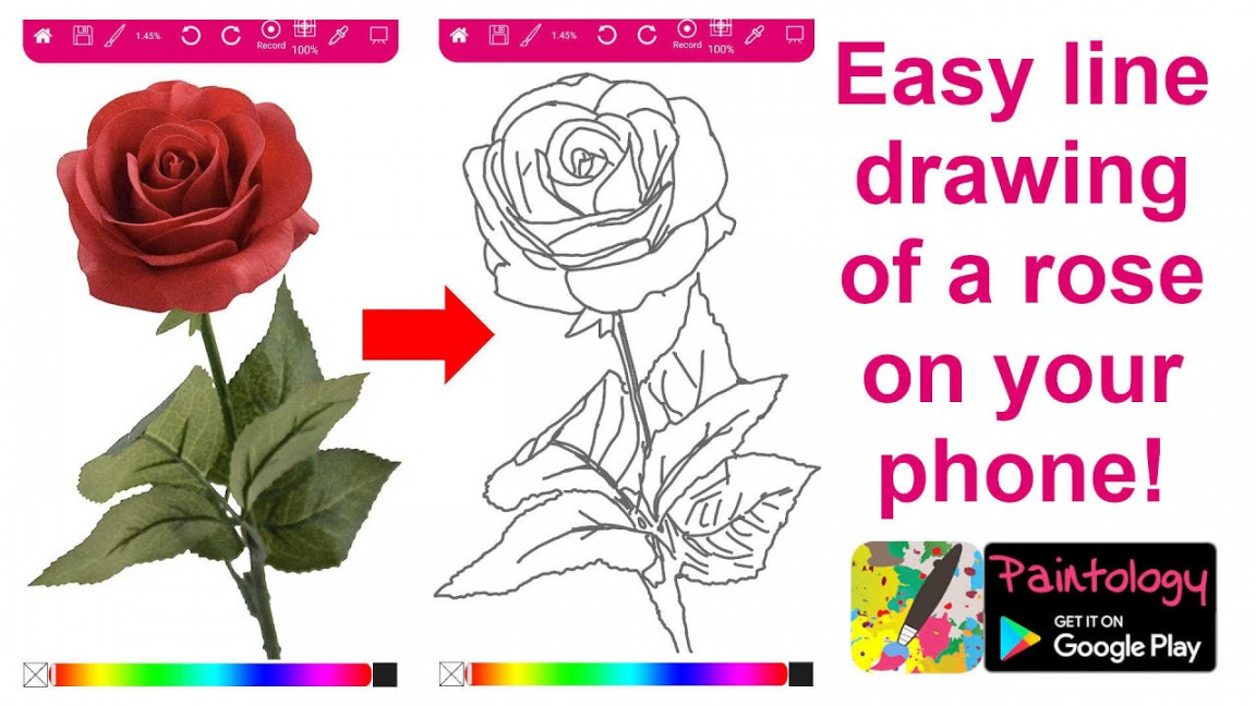 Make a line drawing of a rose on you phone! - Fun and easy tutorials with  Paintology