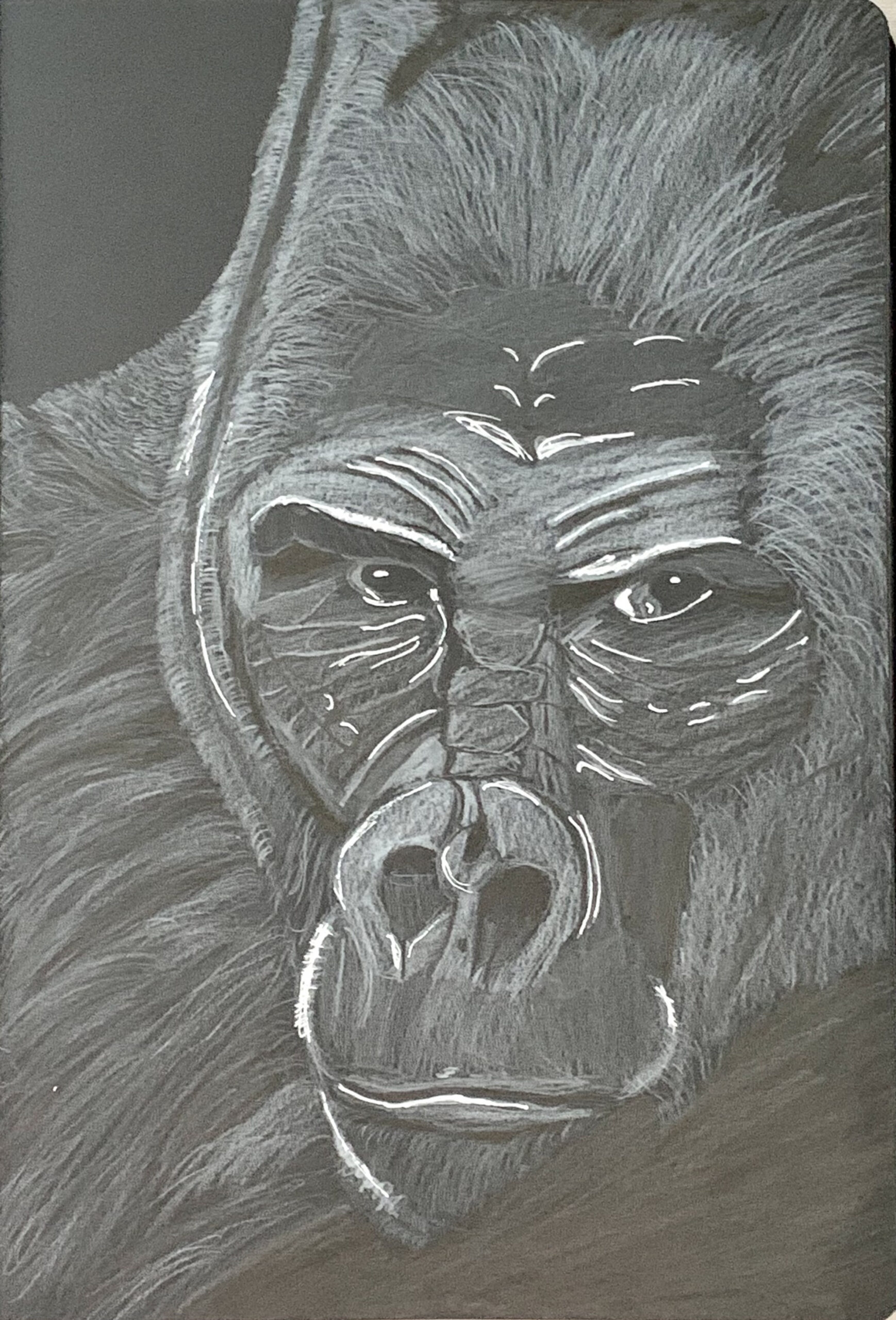 Monkey on black paper by ChimpieThend on DeviantArt