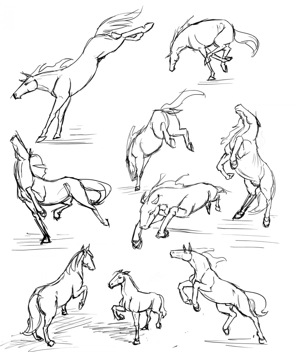 More horse studies  Disegni di cavalli, Schizzi di animali