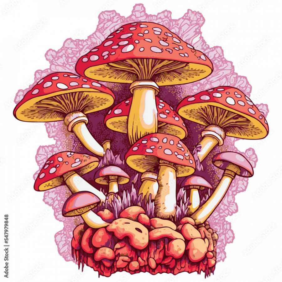 Mushroom vector illustration. Psychedelic trippy fungus