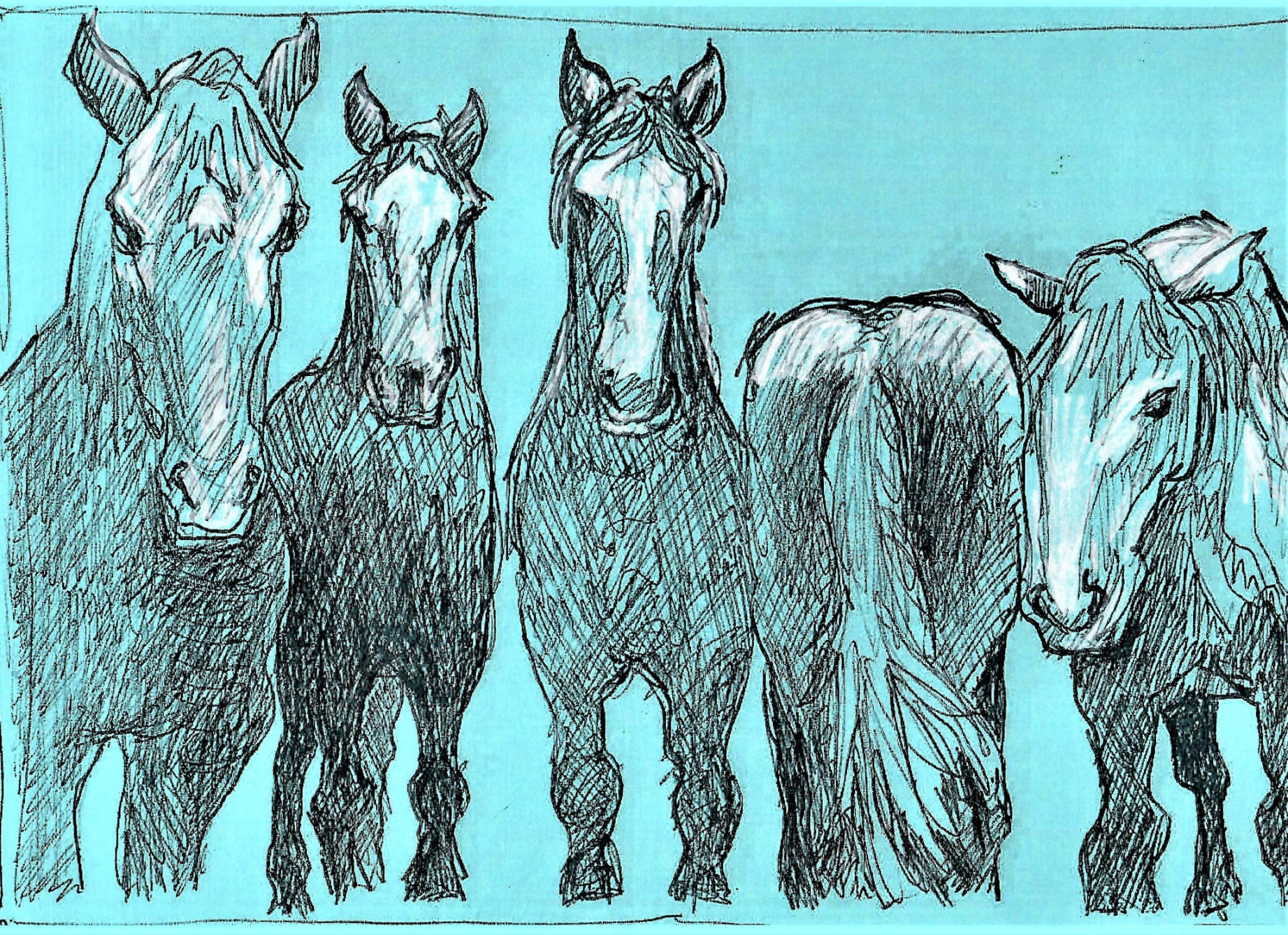 NATURE - FIVE HORSES - FOUR FRONT AND ONE BACK