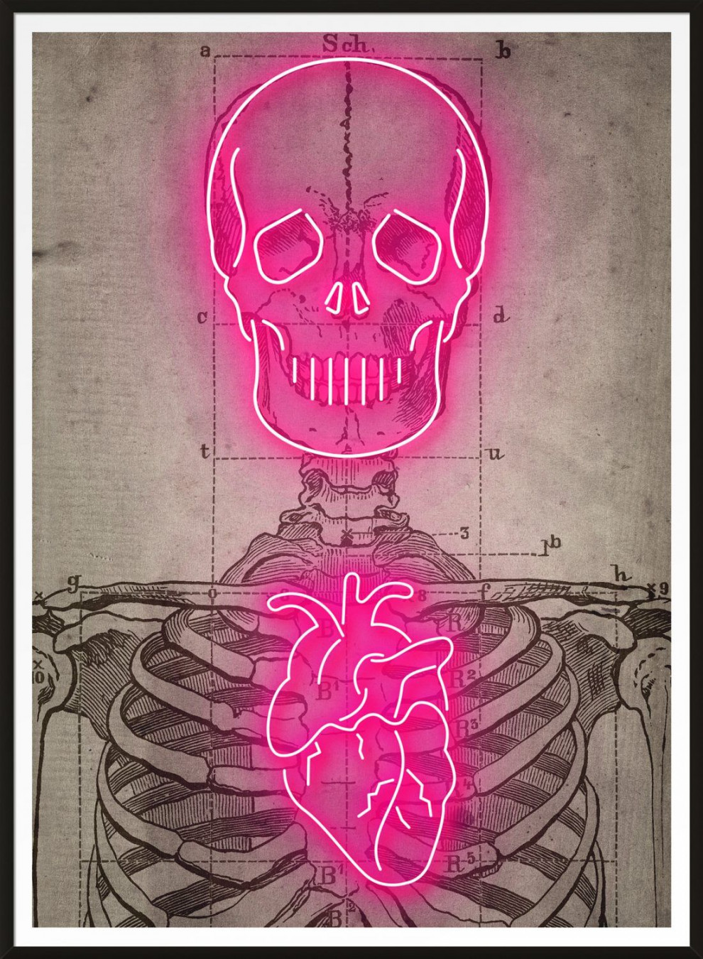 Neon Skeleton Vintage Diagram Print  Neon painting, Neon art