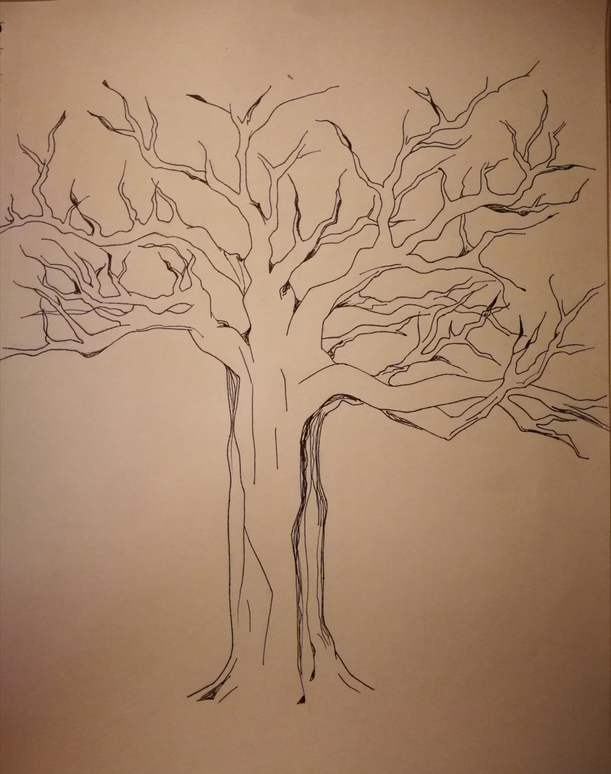 OC-The Nemeton; Teen Wolf inspired drawing : r/doodles