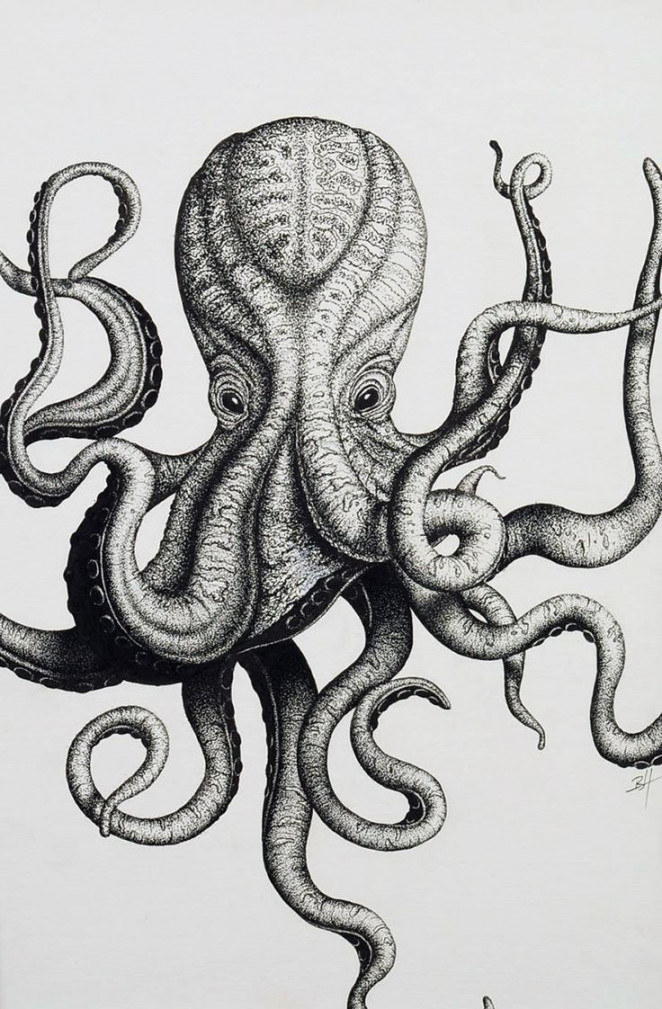 Octopus tattoo design, Octopus tattoos, Octopus drawing