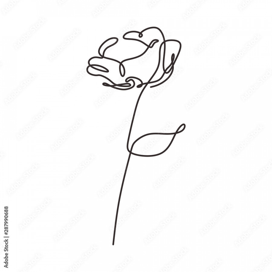 One line drawing of rose flower simplicity style Stock
