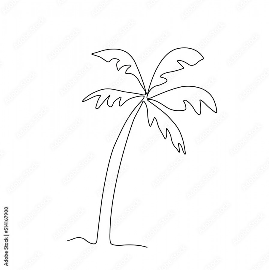 one line palm tree illustration drawing