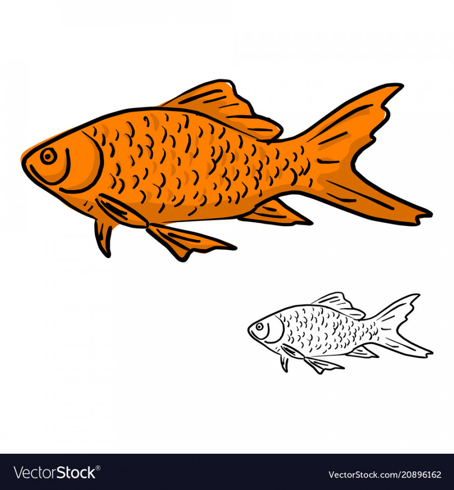 Orange fish sketch doodle hand Royalty Free Vector Image