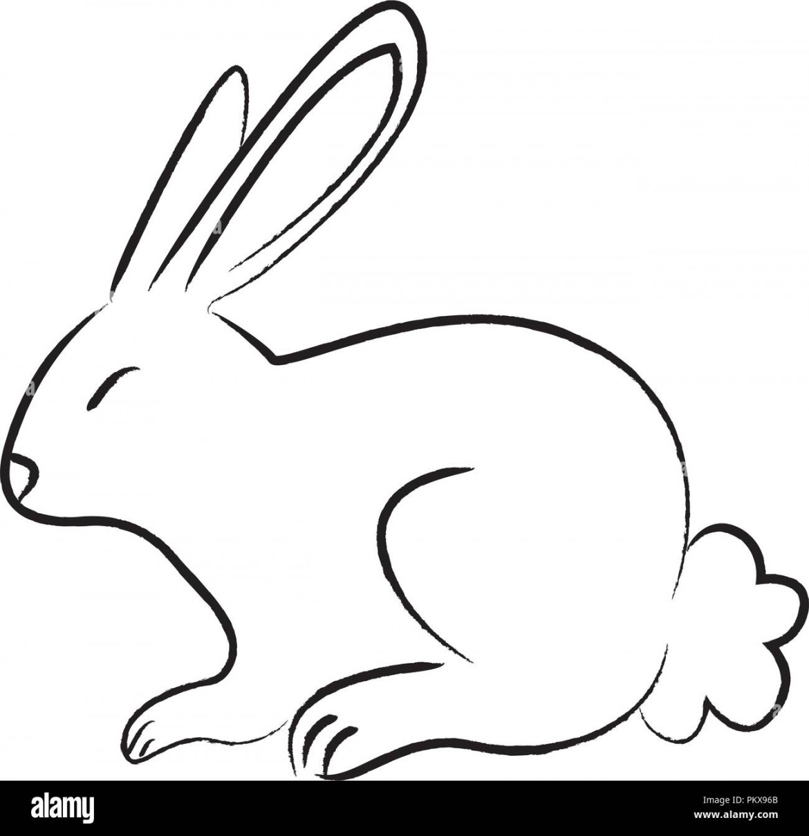 Outline draw rabbit Stock Vector Image & Art - Alamy