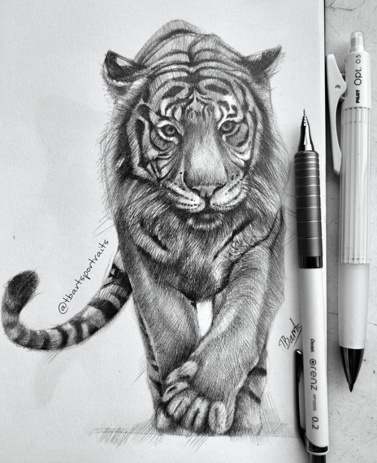 рисую #painting #sketchbook #sketch #sketching #tiger #art #pencil
