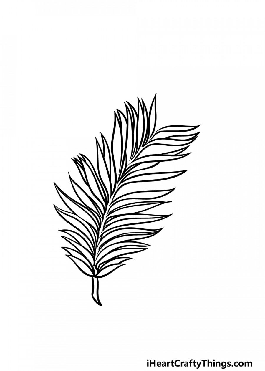 Palm Leaf Drawing - How To Draw A Palm Leaf Step By Step