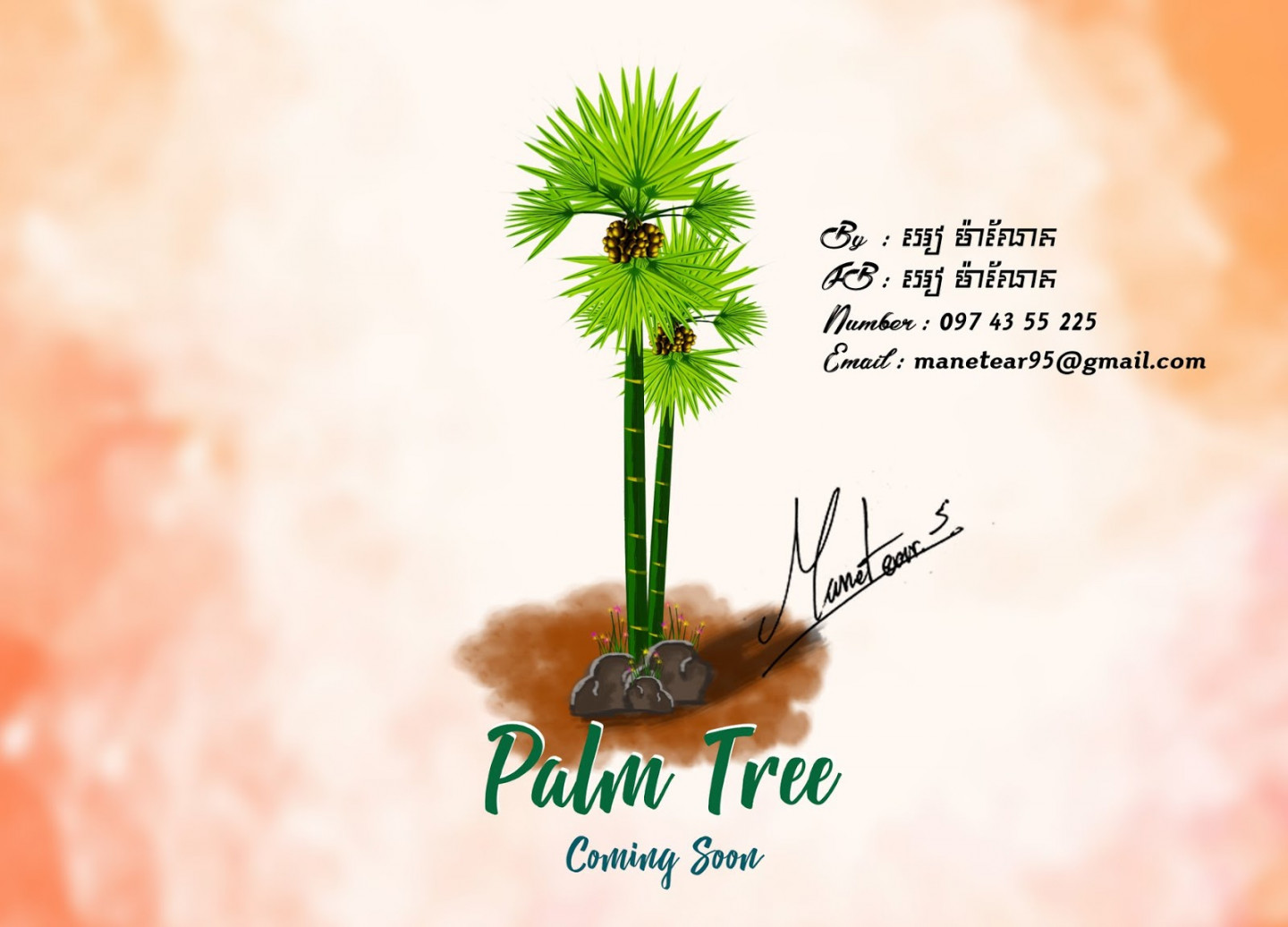 Palm Tree Khmer Palm Tree V