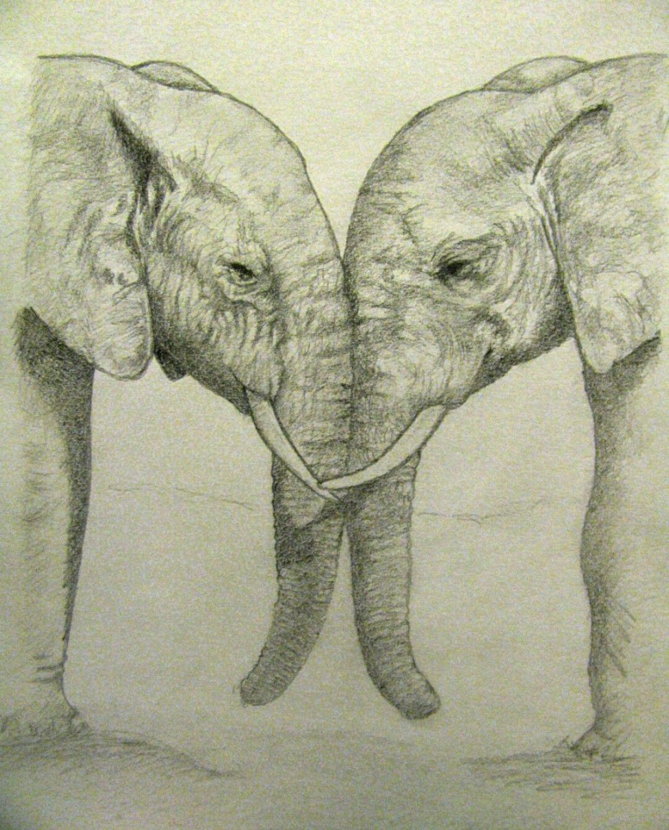 Pin by Cat Masiello on Elephants  Elephant love, Love drawing