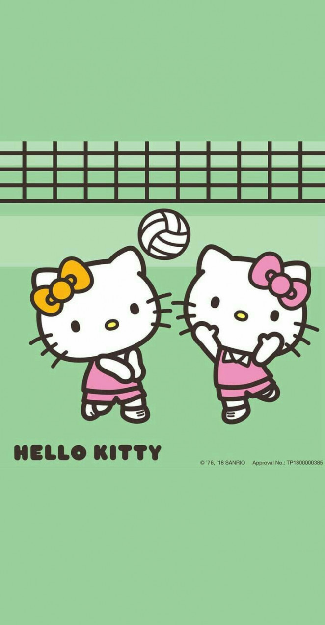 Pin by Roxanna Gómez on Hello kitty  Sanrio hello kitty, Hello