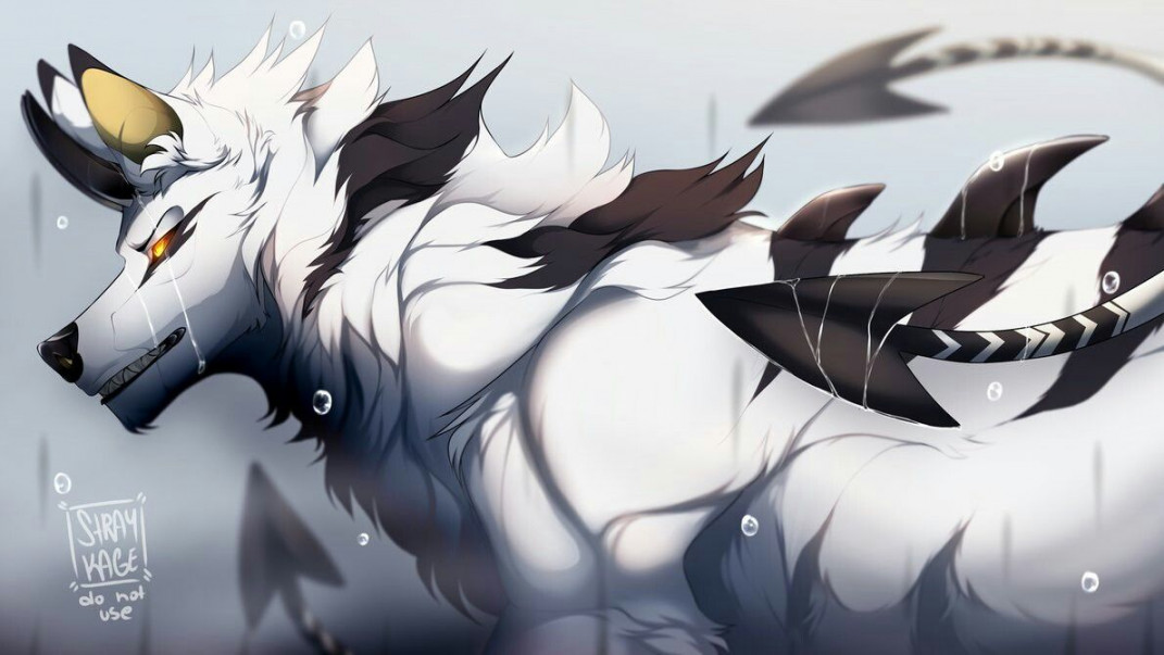 Pin by White Wolf on WOLF/DOG  Anime wolf drawing, Dog design art