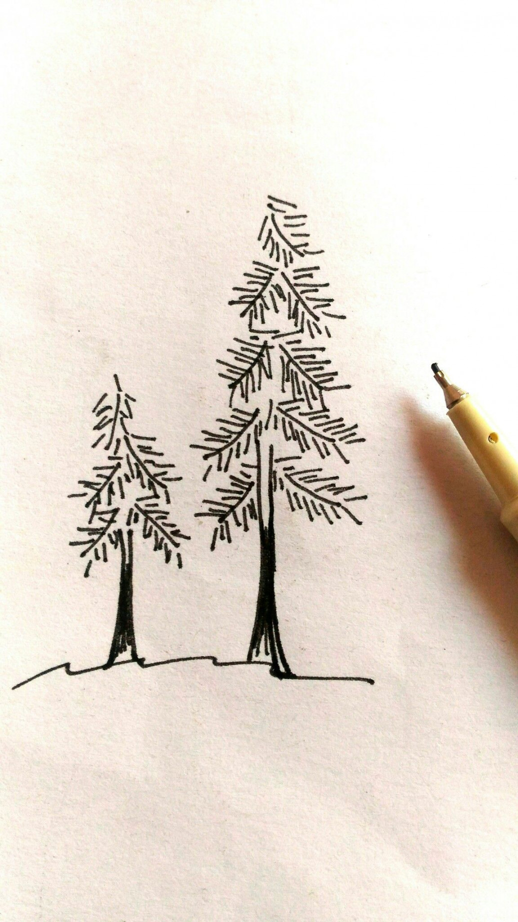 Pine trees simple sketch with pen