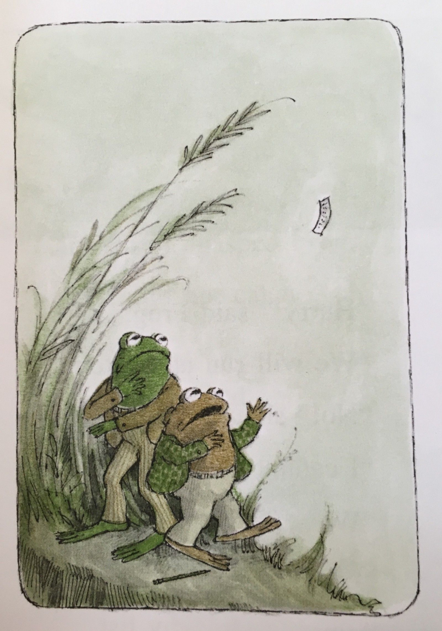 Project Management  Frog wallpaper, Frog art, Frog and toad