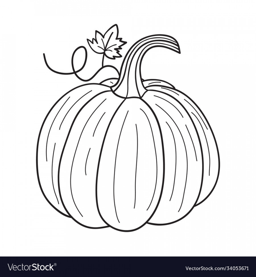 Pumpkin for coloring book line art design Vector Image