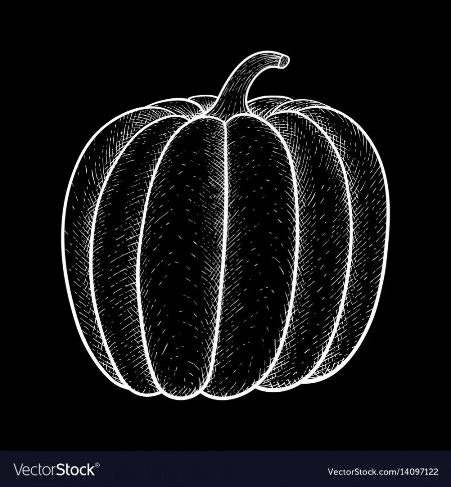 Pumpkin white outline drawing on black background Vector Image