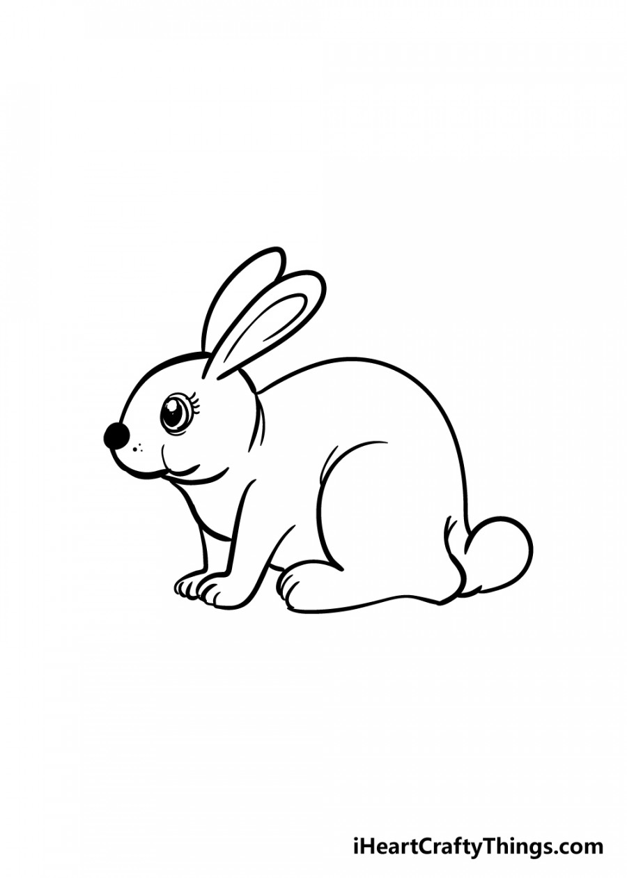 Rabbit Drawing - How To Draw A Rabbit Step By Step