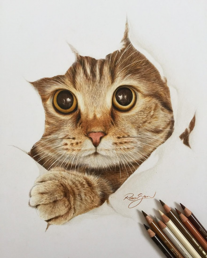 Realistic Color Pencil Animal Drawings  Realistic animal drawings