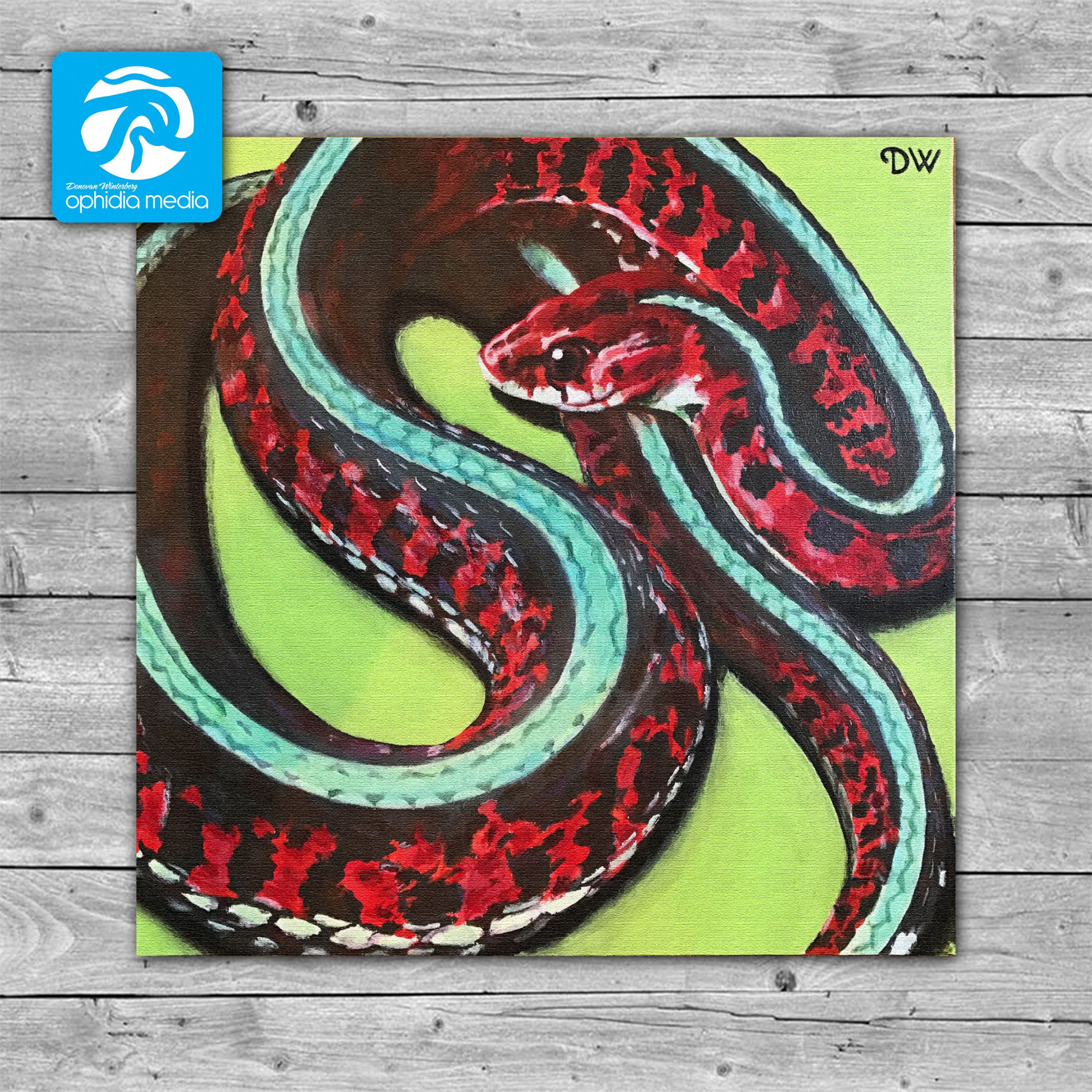 Red-sided Garter Snake painting inx in; acrylic on canvas