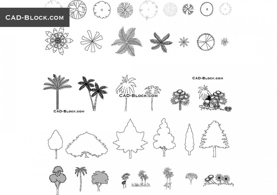 Related image  Tree plan, Palm tree drawing, Architectural trees