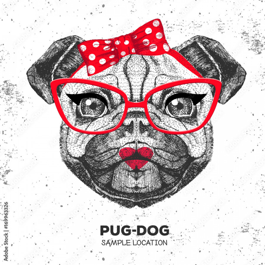 Retro Hipster animal pug-dog