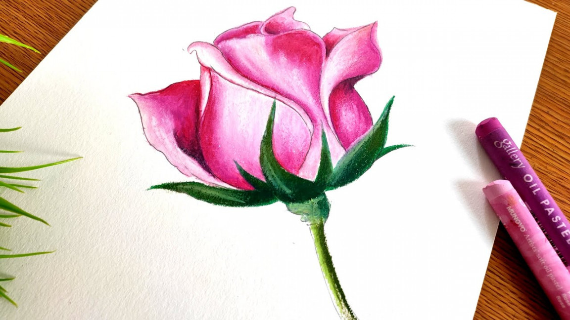Rose  Easy and Creative Oil Pastel Drawing for Beginners Step by Step    Min of Art