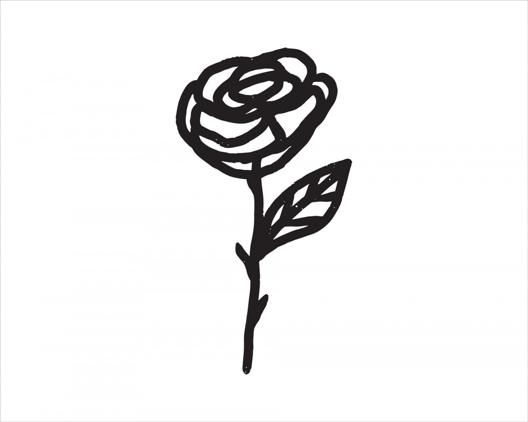 rose illustration in a simple doodle line drawing