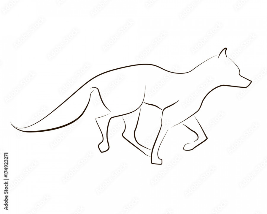 Running black line fox on white background